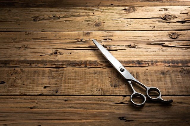 How to Sharpen Scissors: A Simple Guide for Home Use - SELECTOOL