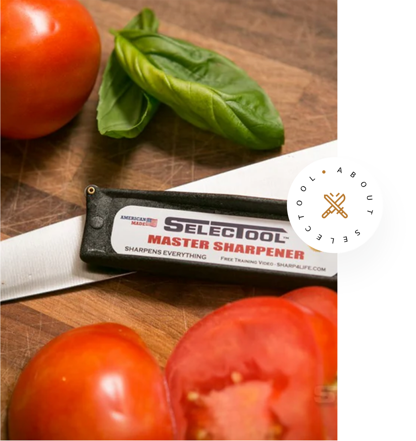 Selectool Beginner Sharpening Set